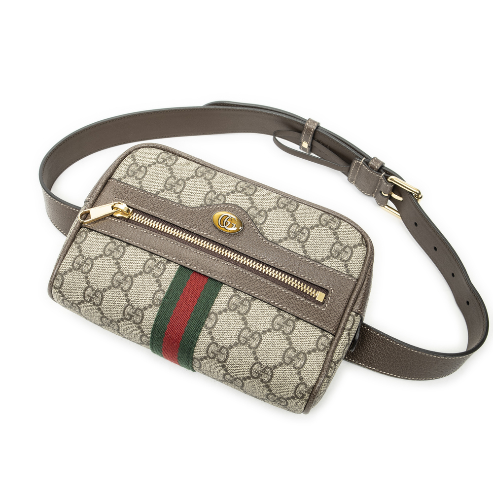 Gucci Web Ophidia Belt Bag